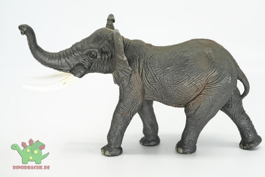 Papo Wild Life Tiere im Set   50215 + 50157 + 50096